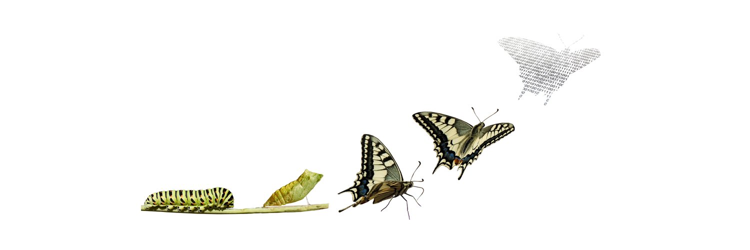 Marcel van der Steen banner