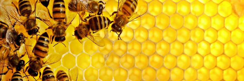 Stephen Brown banner