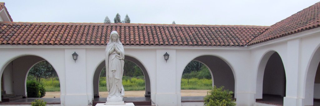 Neoslemo's profile banner image