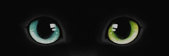 حسن بن محمد banner