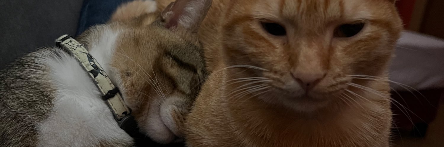 Cyto_Plazam's profile banner image