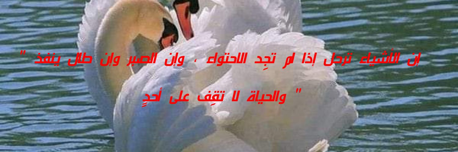 FatimaJahani's profile banner image