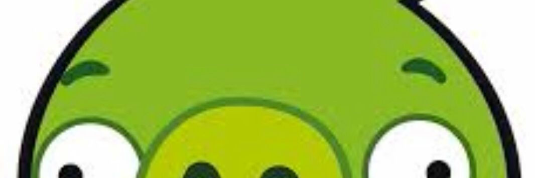 hungry_pig05's profile banner image