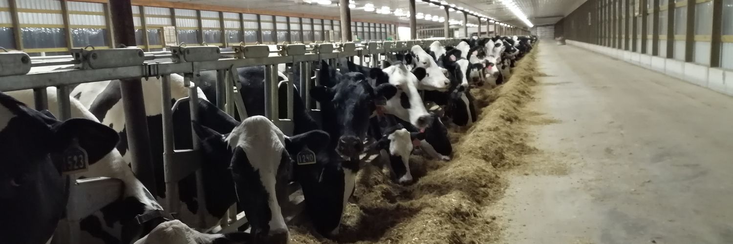 Kip_Agrisolve's profile banner image