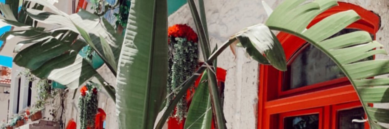 EsraKaluc's profile banner image