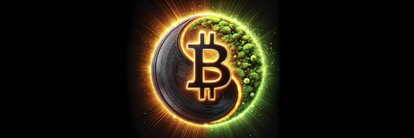 LizardWizardBTC Profile Banner