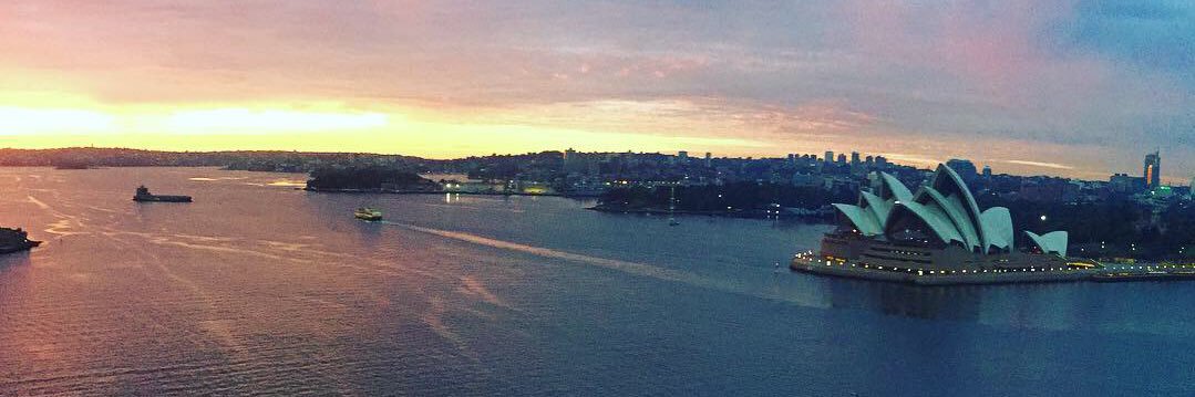 Dr Katie Bayfield banner