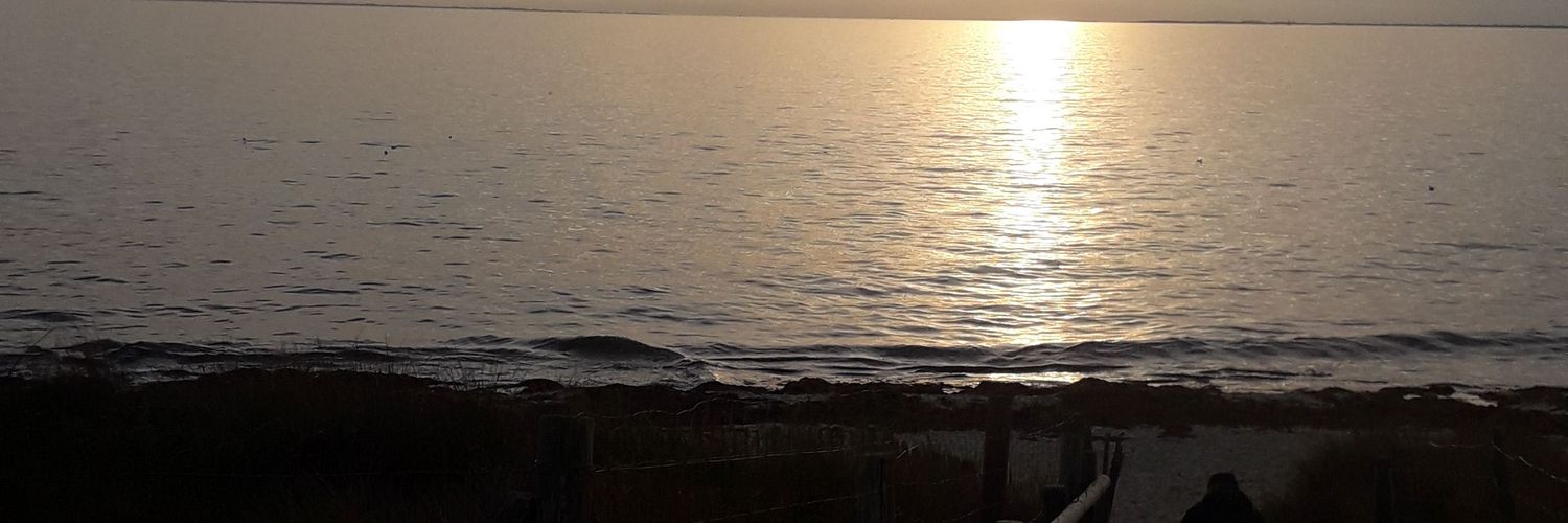 TROALIC's profile banner image