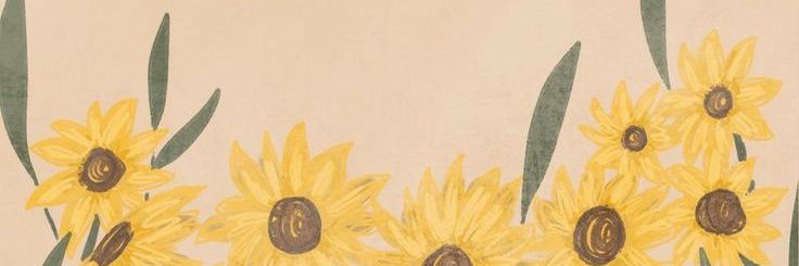 akhsepta's profile banner image