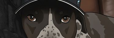 ctbearfan's profile banner image