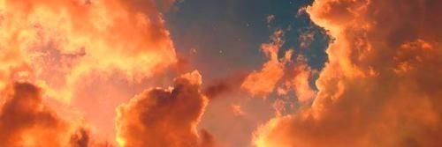 danisongbird's profile banner image