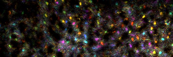 MartiGiamp Profile Banner