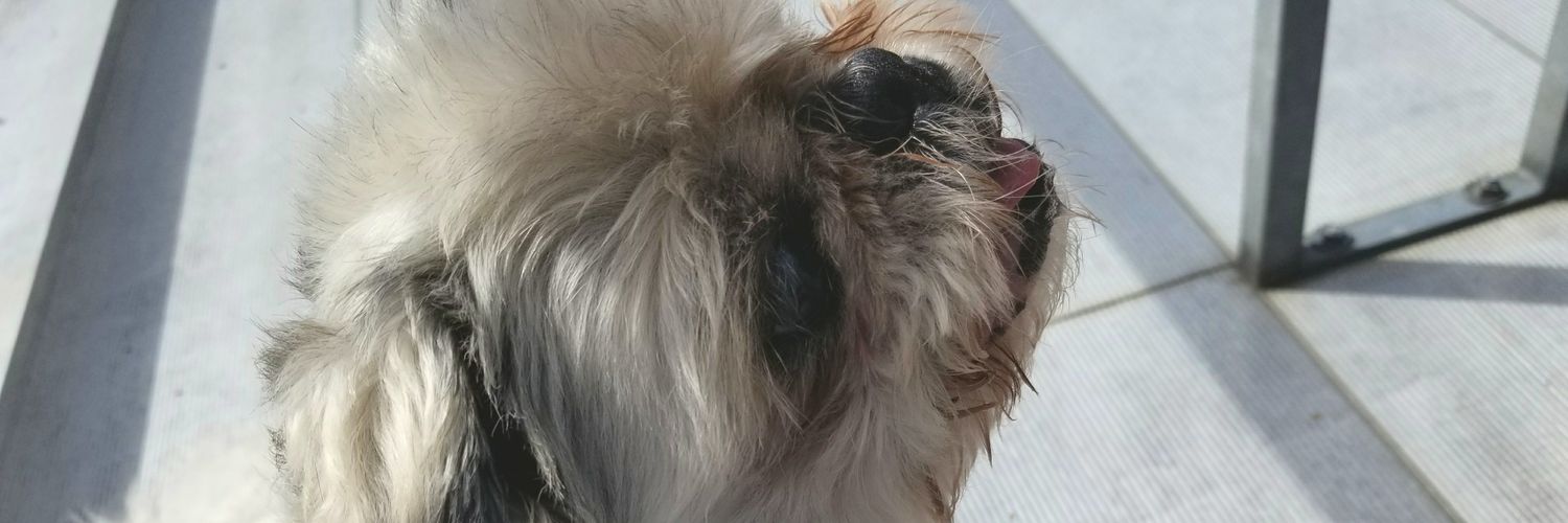 JayyBae22's profile banner image