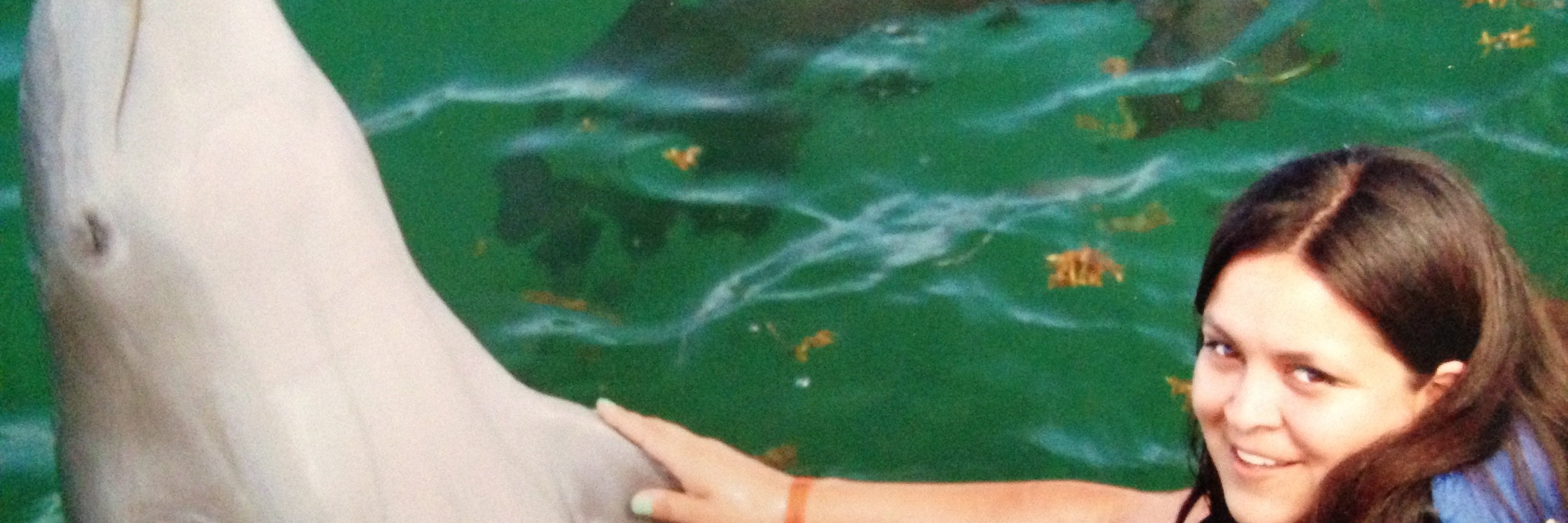 danipintop's profile banner image