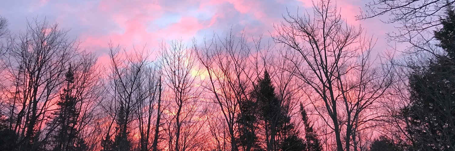 DogGeeker's profile banner image