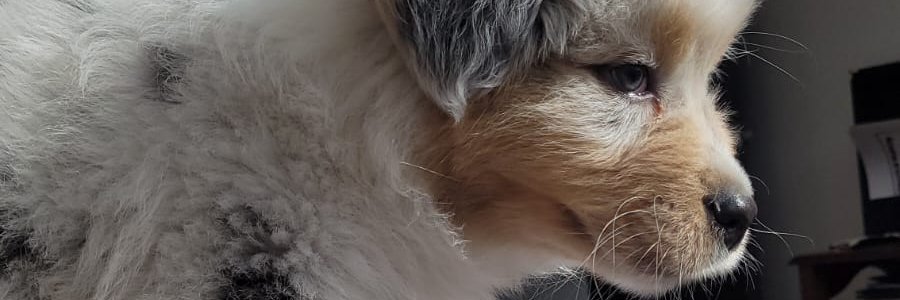 esterhernandezc's profile banner image