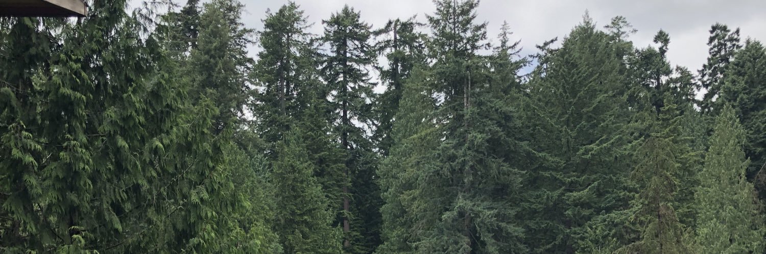 allylean89's profile banner image