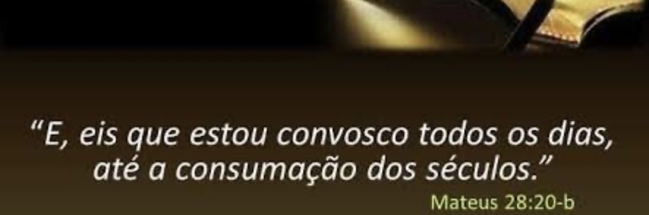 celtrautmam's profile banner image