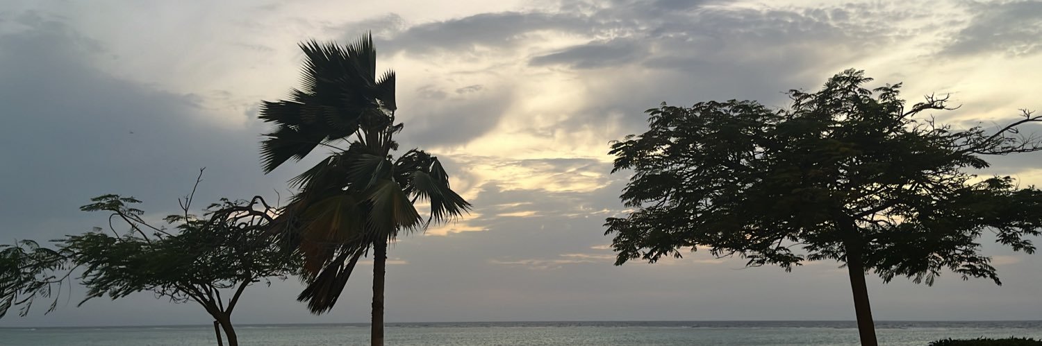 DMF244's profile banner image