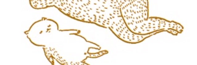 nkysdll's profile banner image