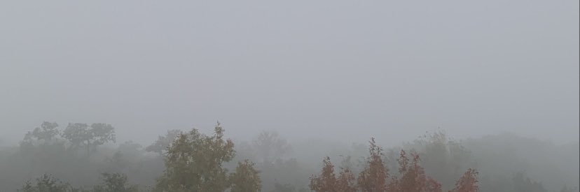 StillNegative's profile banner image