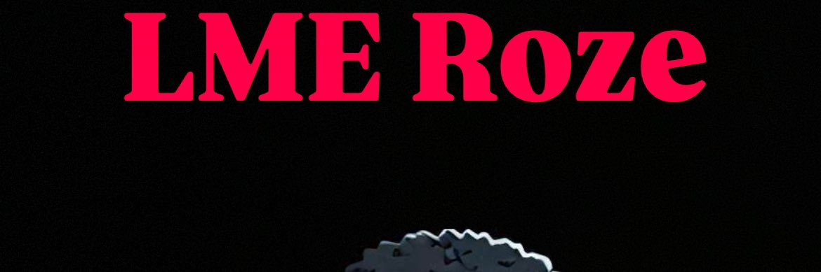 RozeRahDah's profile banner image