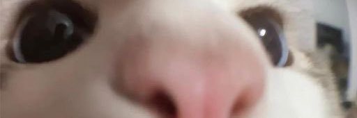 bonpabloo's profile banner image