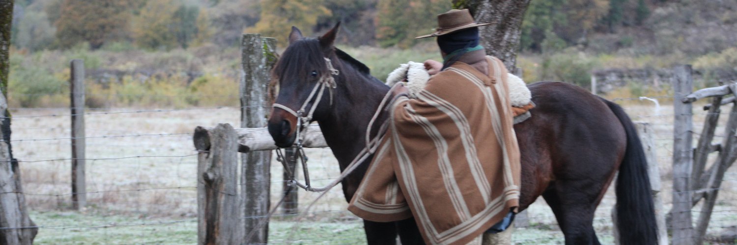 JorgeMuzam's profile banner image