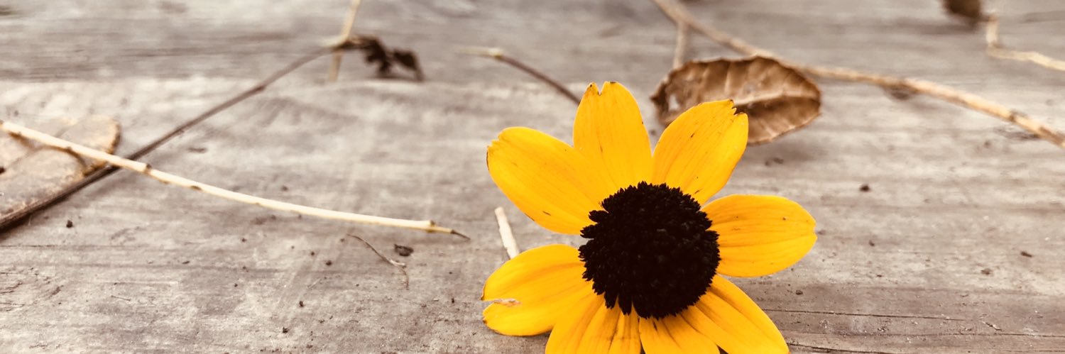 AbbieChobot's profile banner image
