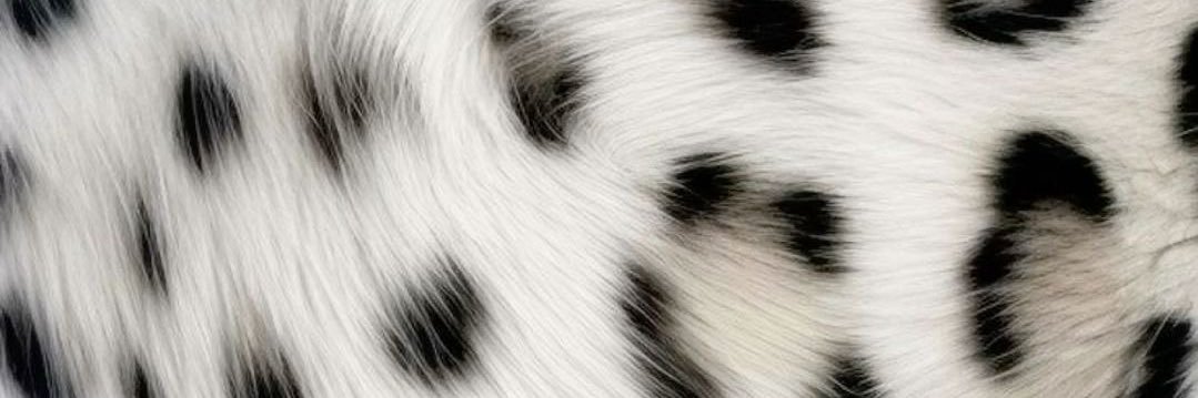 iMariamk89's profile banner image