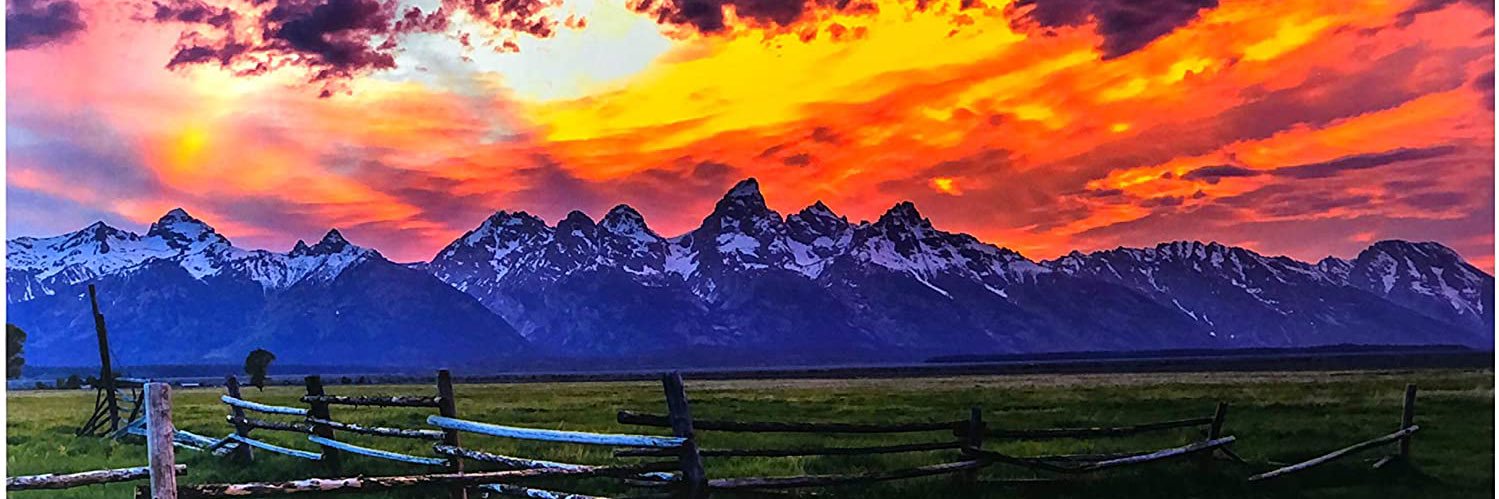 drjenray's profile banner image