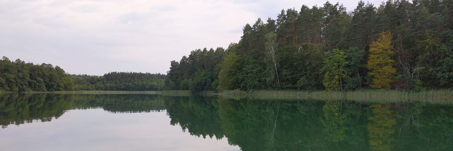 Kanmaniselvan's profile banner image