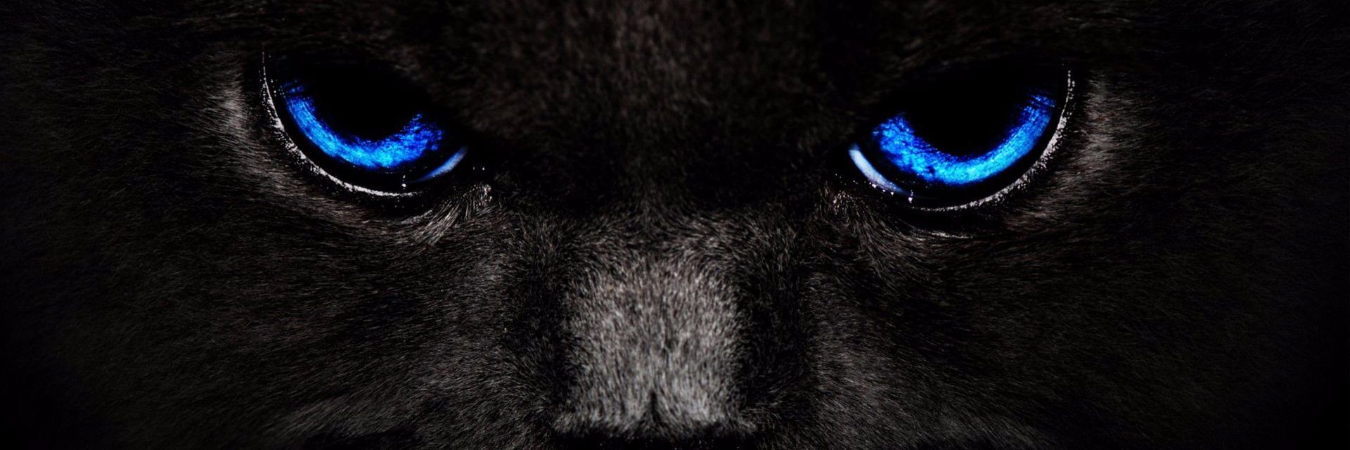 tx_eddie's profile banner image