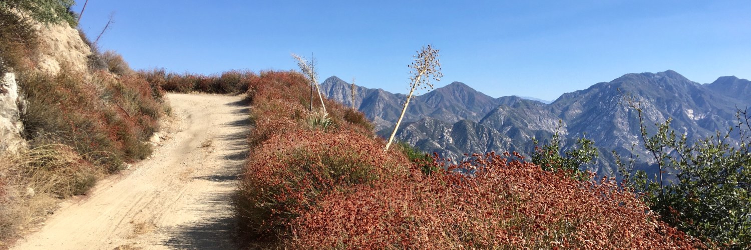 Maddy Jalbert banner