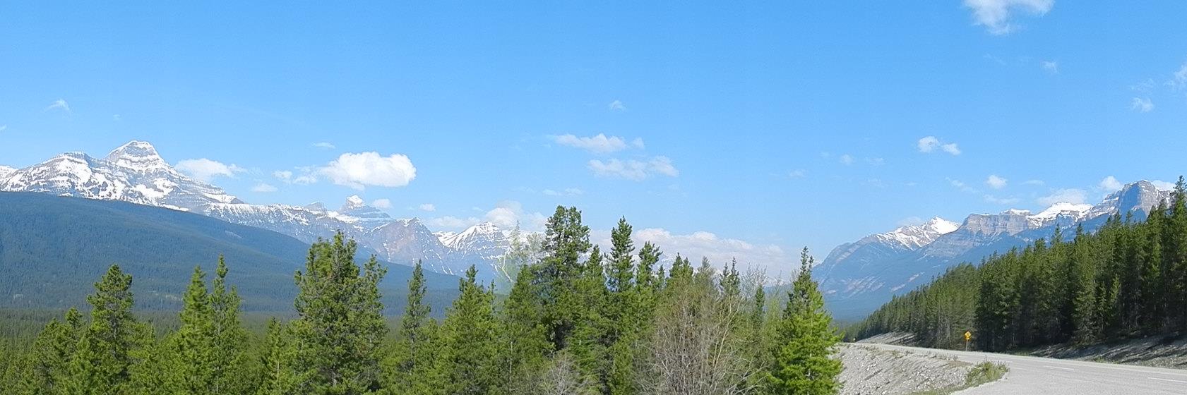 SυɳɳყSҽɱαɳƚιƈʂ banner