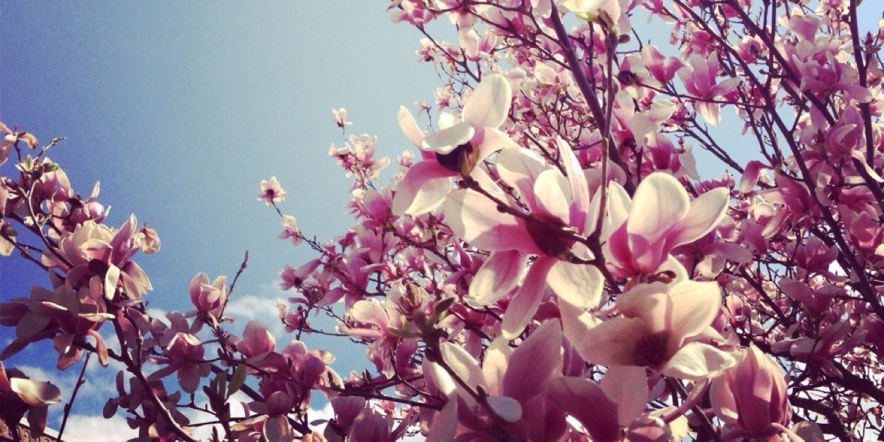 tierneykbrown's profile banner image