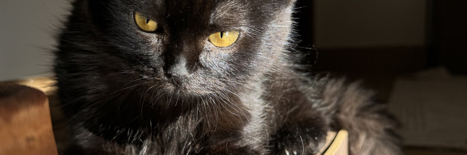 Flimy's profile banner image