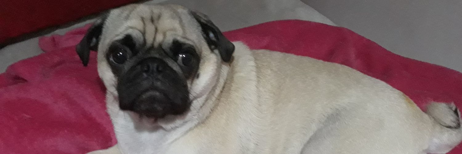psicoromulo's profile banner image