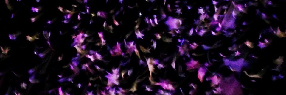 JazzChocolate's profile banner image