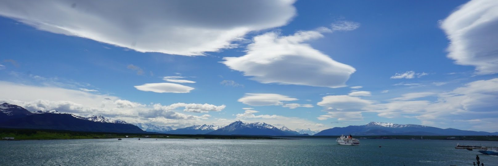 Lizi Sparasci banner