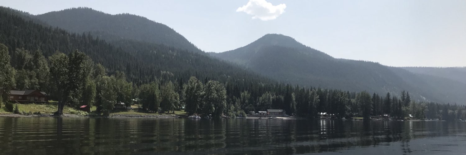 Michaela Pereira banner