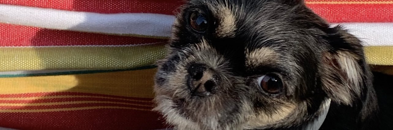 mels_sm's profile banner image