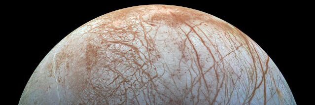 markus arnoldini banner