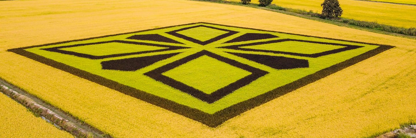 ENTE NAZIONALE RISI banner