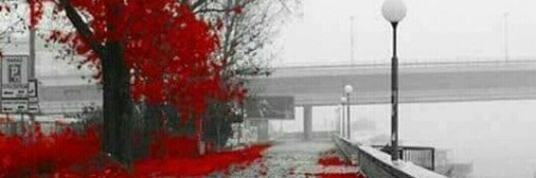 sometime777's profile banner image