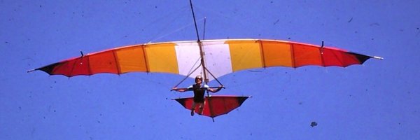 Whole_wit Profile Banner