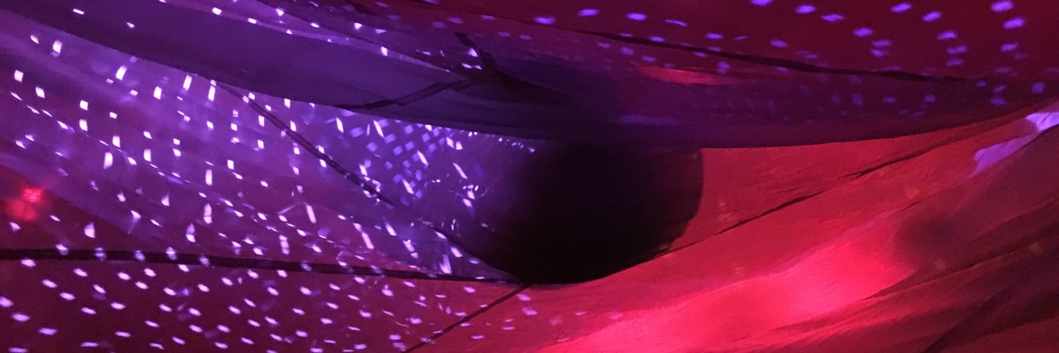 NTRDMNSNL TRNSMSSNS banner