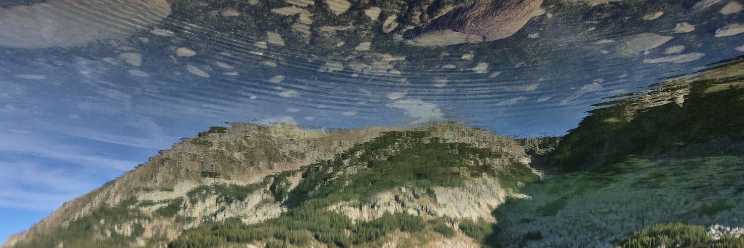 Petromir Dzhunev banner