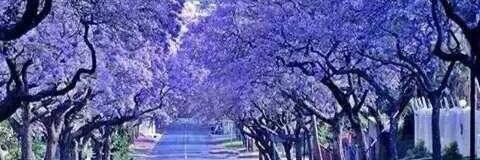 MirandaSimrie's profile banner image