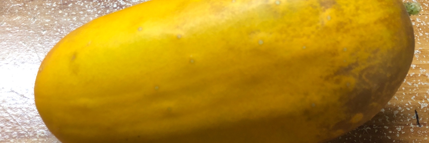 djnfinity's profile banner image